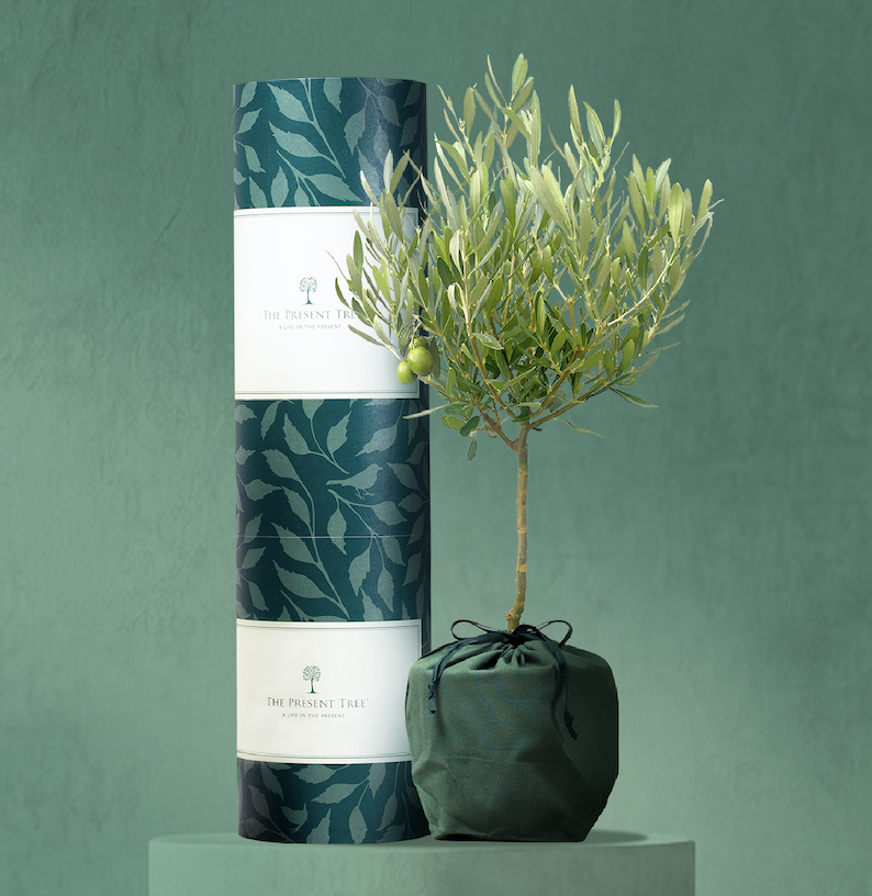 The Present Tree